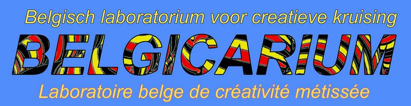 Fichier:Logo du Belgicarium P.jpg
